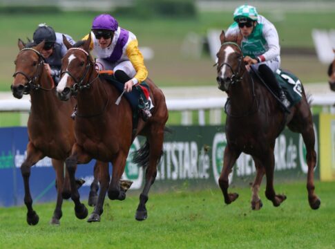 Santagada siegt unter Leon Wolff im Karin Baronin von Ullmann - Schwarzgold-Rennen