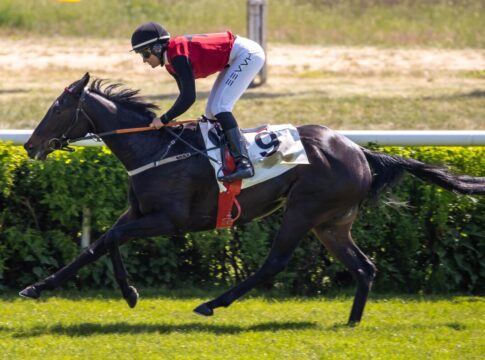 Solo Sunny siegt unter Lilli-Marie Engels