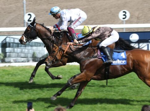 Son Gual im Ausgleich III für Form-Duo Geisler/Flandrin Son Gual siegt unter Bertrand Flandrin