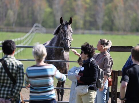 Erle beim Tag der Rennställe Maxim Pecheur