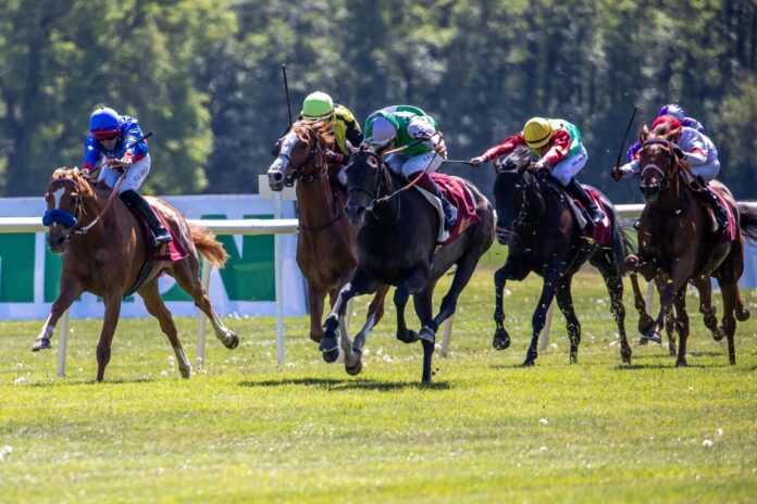 Waldadler (2.v.li.) am Sonntag im Oleander-Rennen