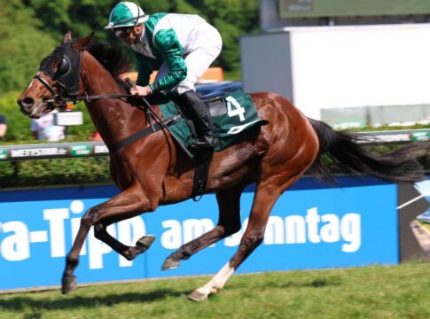 Wilde Zeit siegt unter Wladimir Panov