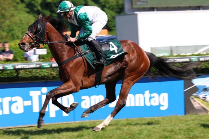 Wilde Zeit siegt unter Wladimir Panov