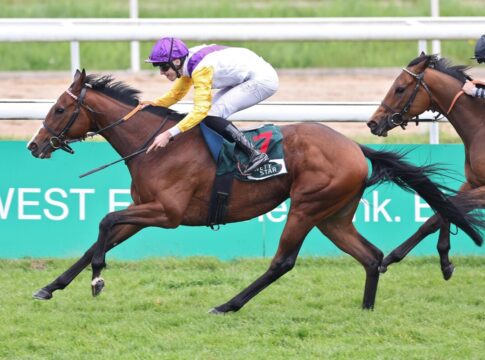 Santagada siegt gegen Nicoreni