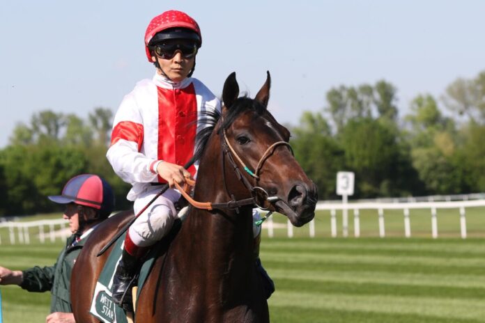 Abando unter Bayarsaikhan Ganbat