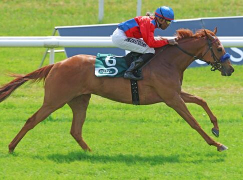 Almenkönig siegt unter Eduardo Pedroza