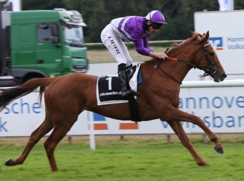Wie erwartet: Alpenjäger mit besserem Trainingsgalopp zum Hannover-Auftakt Alpenjger siegt unter Adrie de Vries