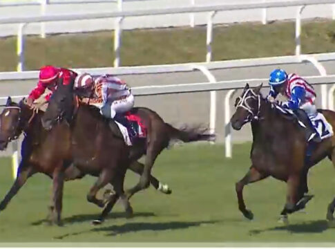 Arnis Master gewinnt den Gran Premio Foto: Screenshot