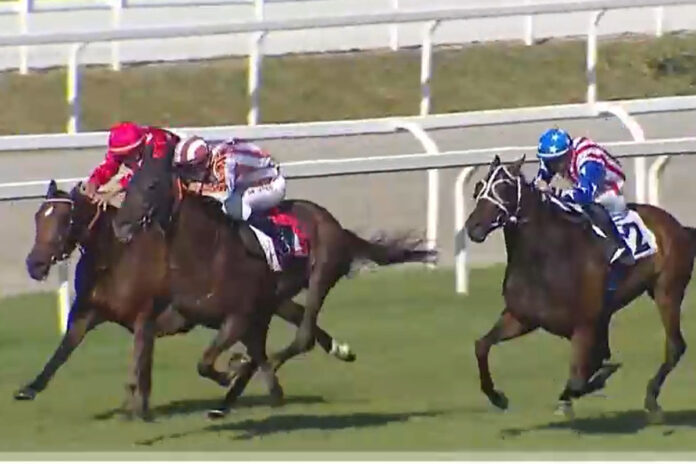 Arnis Master gewinnt den Gran Premio Foto: Screenshot