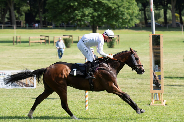 Donum Felix Foto: Gerlach