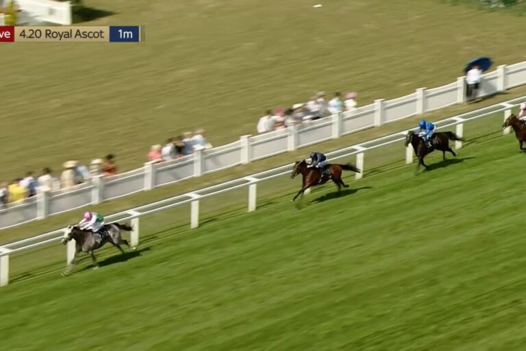 Field Of Gold (li.) (Archiv, Screenshot YouTube-Kanal At The Races)