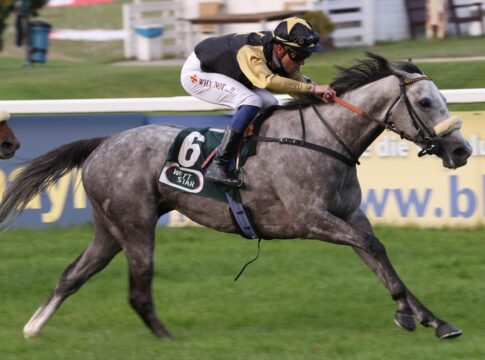 Kanzashi siegt unter Bertrand Flandrin