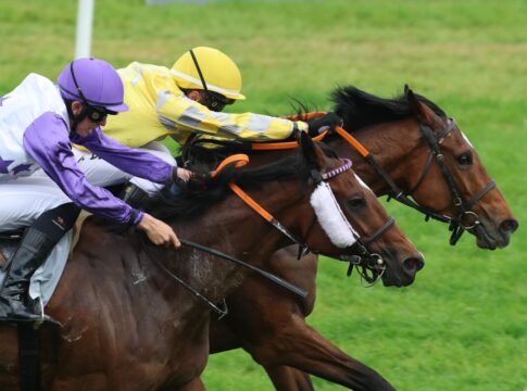 Kaviar siegt unter Adrie de Vries