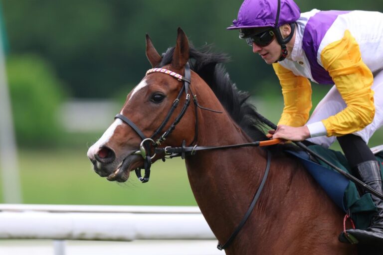 Sorgt Santagada für besonderen Park Wiedingen-Auftakt?