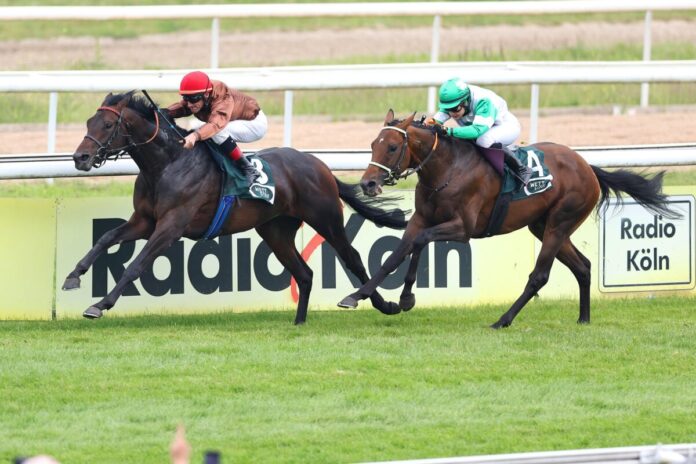 Zuckerhut gewinnt die Union gegen Hochkönig