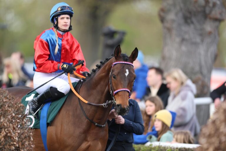 Auch in Hannover wird galoppiert – neun Rennen am Freitagabend