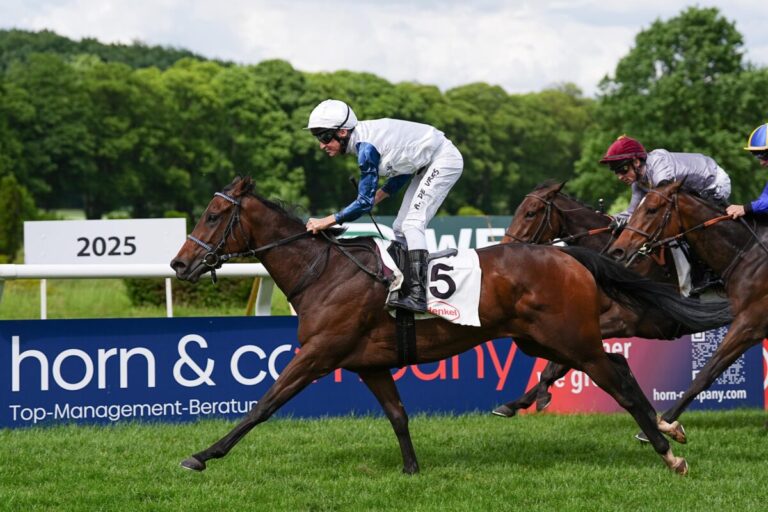 Klassische Siegerin Lady Ilze geht zu Tattersalls Online Sale