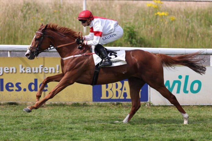 Laxxio siegt unter Thore Hammer-Hansen