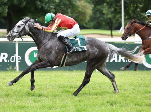 Grey Sparkle siegt unter Niazi Ismail