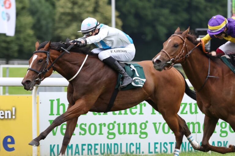 Längste Außenseiterin im Ausgleich II – Perfect Pic sorgt für Luft-Treffer