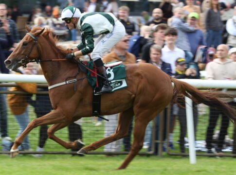 Miss Ellie siegt unter Martin Seidl