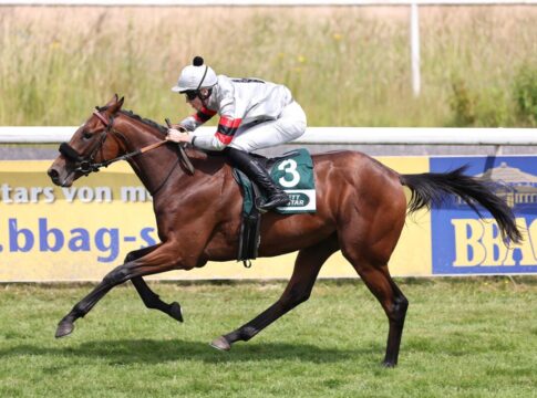 Perito siegt unter Leon Wolff