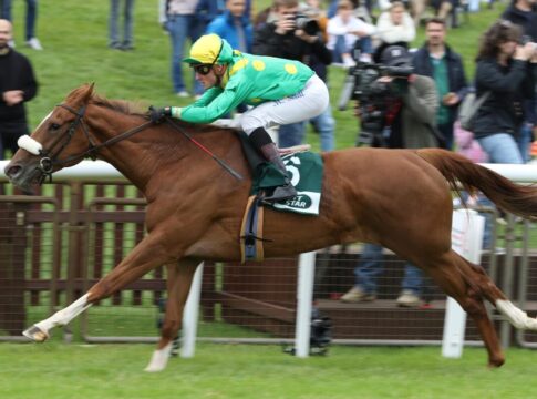 Petra My Love siegt unter Martin Seidl