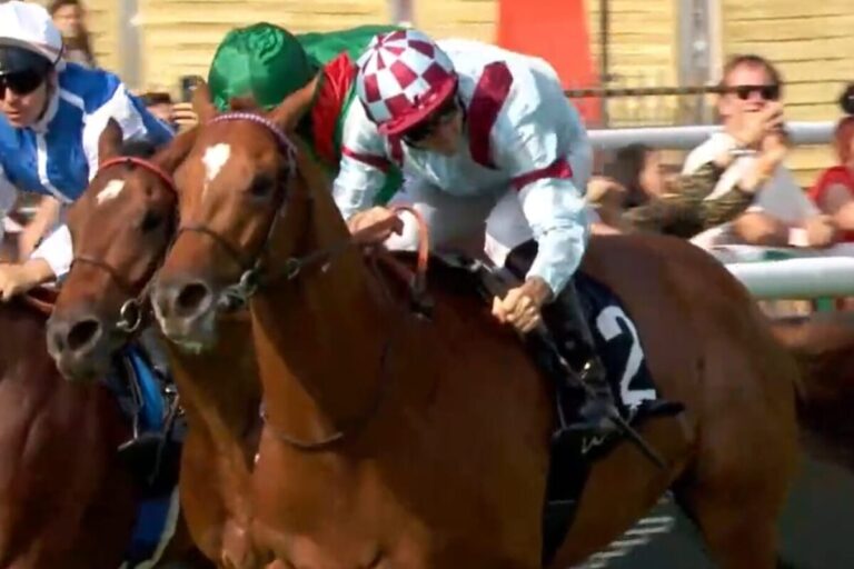 Rafale Design-Gebote schießen auf zwei Millionen Pfund – das reicht aber nicht