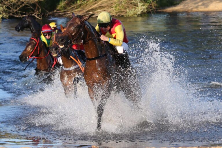 Hamburger Derby-Woche – Das Seejagdrennen ist zurück!