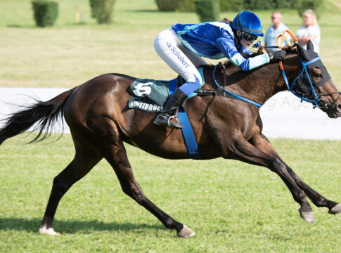 Tabularasa Foto: Gerlach