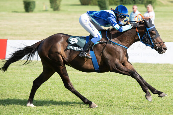 Tabularasa Foto: Gerlach