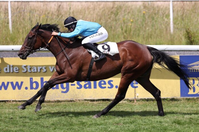 Tex Lot siegt unter Lilli-Marie Engels