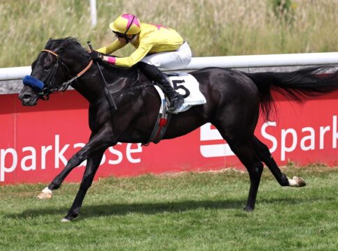 Wikinger siegt unter Leon Wolff