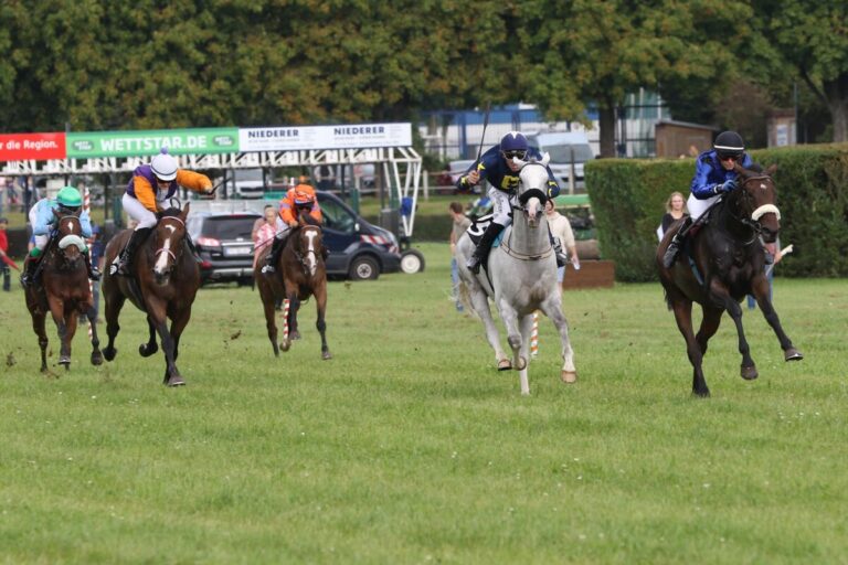 Gemischte Karte am Sonntag in Zweibrücken