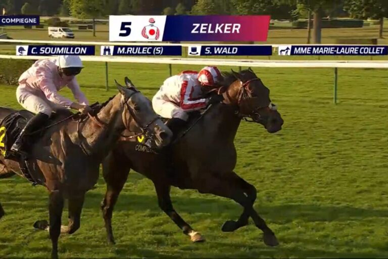 Compiegne: Zelker mit Derby-Nennung  – „Wollen noch nichts ausschließen“