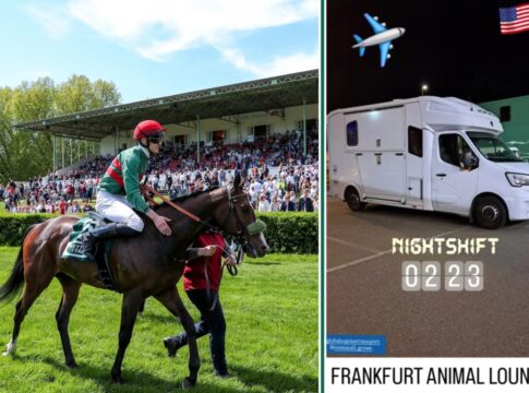 Namaron (Foto: privat)