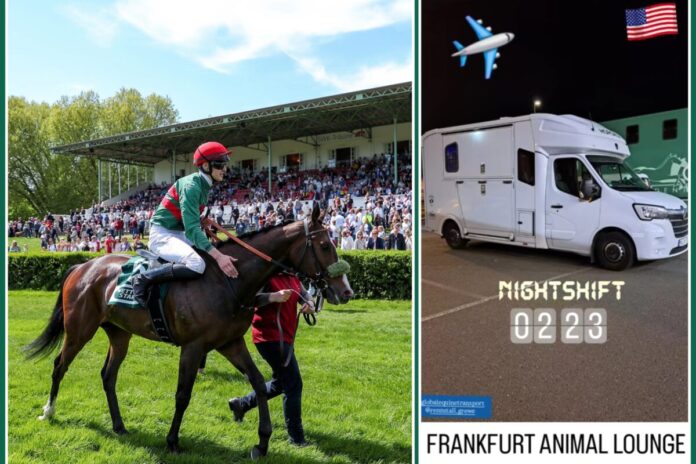 Namaron (Foto: privat)