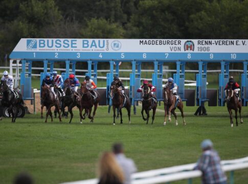 Galopp in Magdeburg