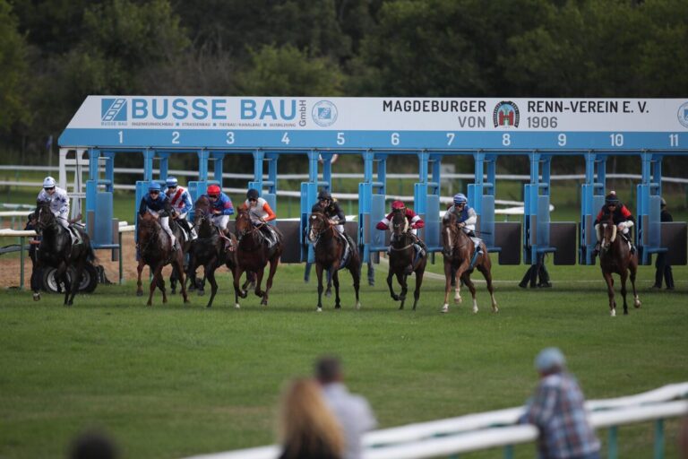 V4-Aktion am Samstag in Magdeburg