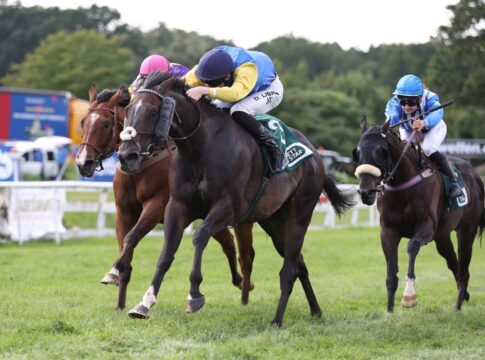 Agent Sim siegt unter David Liska