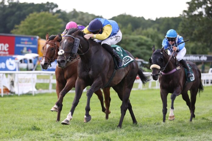 Agent Sim siegt unter David Liska