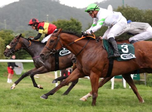 Ardbraccan siegt unter Anna van den Troost