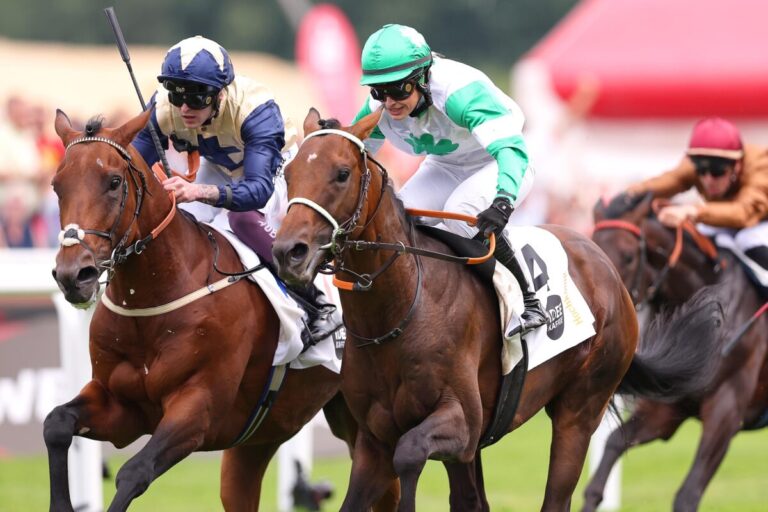 Hochkönig siegt unter Nina Baltromei im IDEE 156. Deutsches Derby