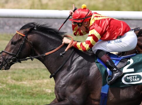 Best Lightning unter Martin Seidl