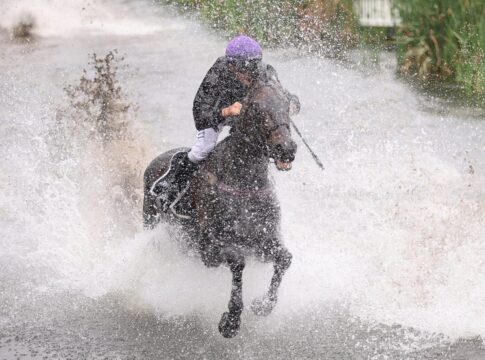 Everglow siegt unter Hakim Tabet im Harzburger Seejagdrennen