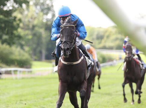 Favorite Crime siegt unter Eduardo Pedroza