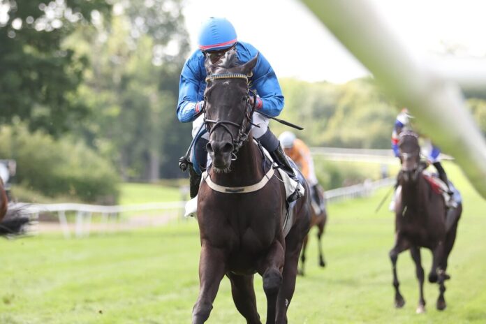 Favorite Crime siegt unter Eduardo Pedroza