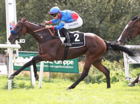 Glady Tiger siegt unter Thore Hammer-Hansen