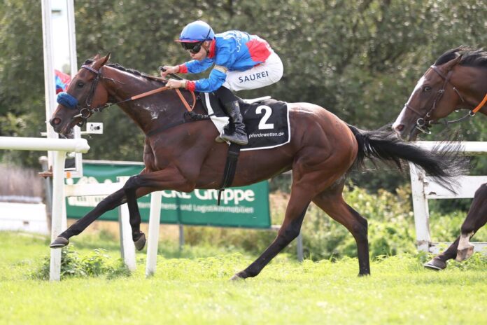 Glady Tiger siegt unter Thore Hammer-Hansen