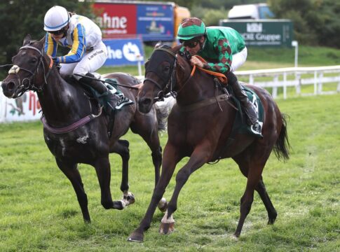 Go Girl Go siegt unter Rene Piechulek